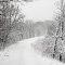 Snowy Path
