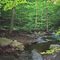 Atkins Glen