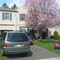 My First House in America