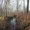 Mud Run Tributary of Conneaut Creek