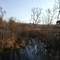 Stone Run Tributary of Conneaut Creek, Beaver Center, PA