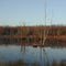 Conneaut Creek Pond on Thrasher Road
