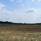 Fields