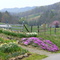 Near Baileyton, Tennessee