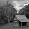 Old cabin on the Blue Ridge Parkway