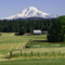 Mount Adams near Gilmer, Washington