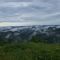 Pine Mtn Mist