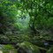 Riverbed in the Appalachian mountains
