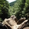 Rocks bellow the Falls