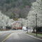 Driving into Whitesburg