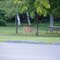 Doe at the Ansay Welcome Center