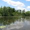Puckett's Pond