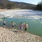 pogo swim team