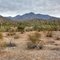 Estrella Mountain Park