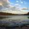 Gila Riverbed