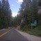 Highway 108, Strawberry, CA 8-8-2008