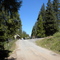 Spring Gap PG&E