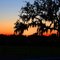 Sunset - Winter Garden, Florida