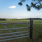 Black Creek