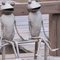 Friendly "froggy" fellas !