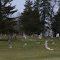 Swan Cemetery, Noble County, Indiana