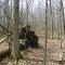 ACRES Badger Nature Preserve