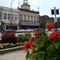 Historic district & malvones!!