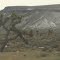 Sculpture - Like Joshua Trees And Contrasting Snow Beyond Near Tonopah Nevada Jan '13