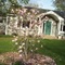 Flower bush