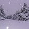 Lake effect snow