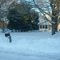 After the Blizzard - Feb. 2, 2011