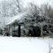 Winter Shed