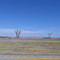 Nebraska Field