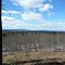 Oak Hill vista