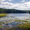 Mongaup Falls Reservoir