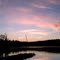 Sunset in Dingle Daisy