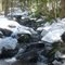 Mullett Brook in the Neversink Gorge