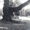 Edgeworth Park Bench