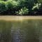 Racoon Creek