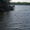 Our Fishing Buddy