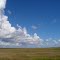 Louisiana Sky, LA