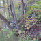 Near Nicole's favorite PG13 tree