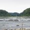 Potomac River -- American Legion (Beltway) Bridge  -- Stubblefields at Low Water