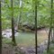 Swiming pond