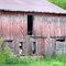 Faded and Forgotten by Time