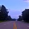East Texas Pineywoods