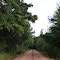 Old Latexo Road