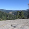 View from Rock outcrop on Muir Grove Trail
