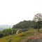 Highway 180 out of the Sequoia National Forest