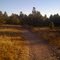 Black Forest, Colorado - Section 16 Trail